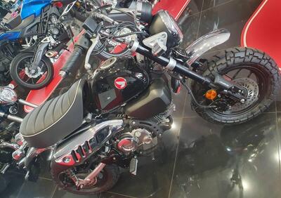 Honda Monkey 125 (2025) - Annuncio 9834206