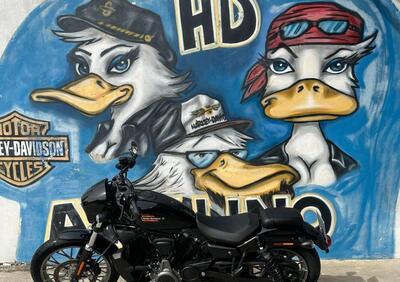 Harley-Davidson Nightster Special (2023 - 25) - Annuncio 9835990