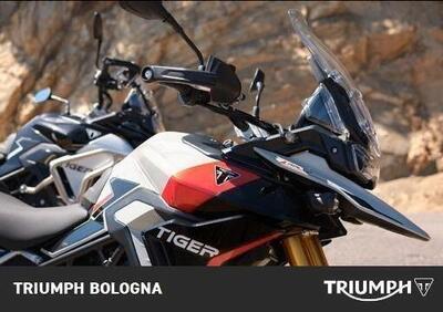 Triumph Tiger 900 Rally Pro (2024 - 25) - Annuncio 9222838