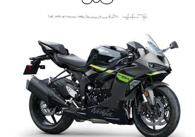Kawasaki Ninja 636 ZX-6R (2024 - 26) - Annuncio 9838321