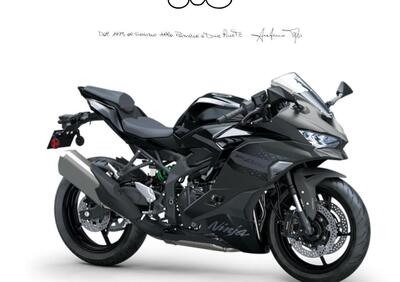 Kawasaki Ninja ZX-4RR (2024 - 26) - Annuncio 9838354