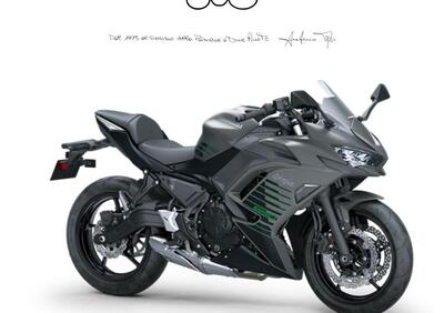 Kawasaki Ninja 650 (2025 - 26) - Annuncio 9838358
