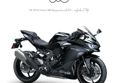 Kawasaki Ninja ZX-4R (2024 - 26) - Annuncio 9838359