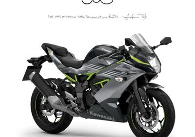 Kawasaki Ninja 125 (2025 - 26) - Annuncio 9838604