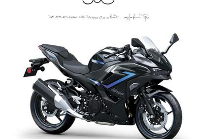 Kawasaki Ninja 500 SE (2024 - 26) - Annuncio 9838605