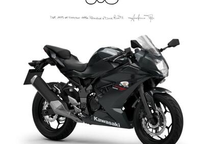 Kawasaki Ninja 125 (2025 - 26) - Annuncio 9838606