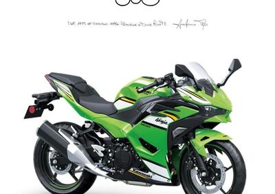 Kawasaki Ninja 500 SE (2024 - 26) - Annuncio 9838608