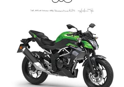 Kawasaki Z 125 (2025 - 26) - Annuncio 9838654