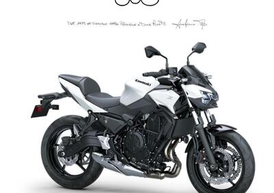 Kawasaki Z 650 (2025 - 26) - Annuncio 9838761