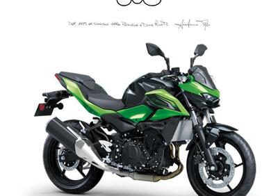 Kawasaki Z 500 (2024 - 26) - Annuncio 9838794