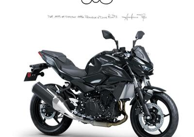 Kawasaki Z 500 (2024 - 26) - Annuncio 9838795