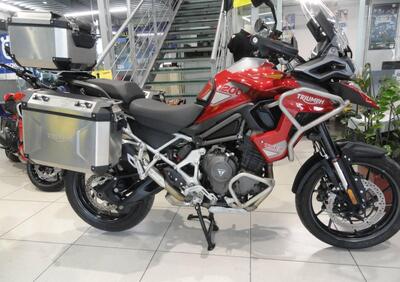 Triumph Tiger 1200 GT Pro (2024 - 25) - Annuncio 9840482