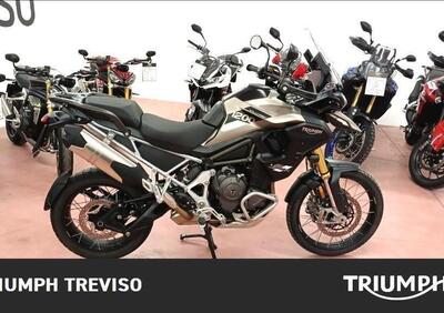 Triumph Tiger 1200 Rally Pro (2024 - 25) - Annuncio 9710793
