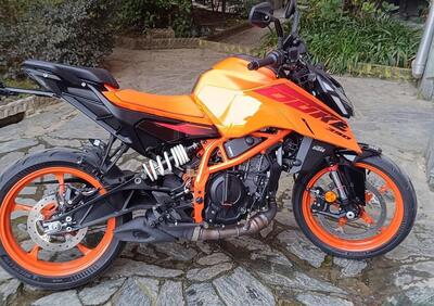 KTM 390 Duke (2024 - 25) - Annuncio 9845478