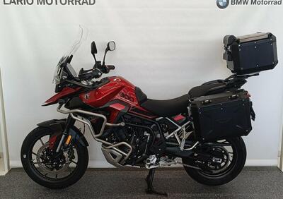 Triumph Tiger 900 GT Pro (2024 - 25) - Annuncio 9840203