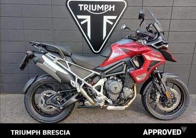 Triumph Tiger 1200 GT Pro (2024 - 25) - Annuncio 9845257