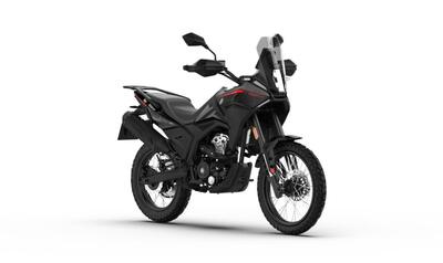 Morbidelli T125X (2025 - 26) nuova