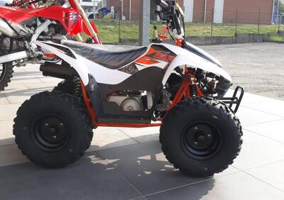  Altre moto o tipologie Quad - Annuncio 9848618