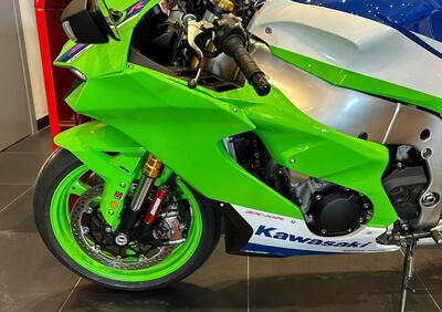 Kawasaki Ninja 1000 ZX-10R 40th Anniversary Edition (2024) - Annuncio 9850614