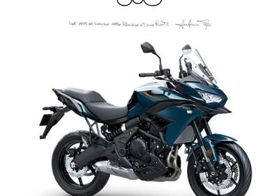 Kawasaki Versys 650 (2025 - 26) - Annuncio 9851993