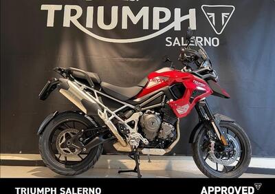 Triumph Tiger 1200 GT Pro (2024 - 25) - Annuncio 9852125