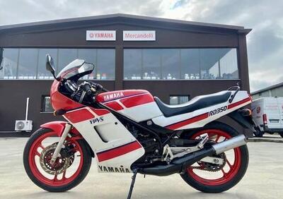 Yamaha RD 350 LC (1982 - 85) - Annuncio 9856002