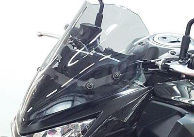 Cupolino Isotta Basso Per Kawasaki Z 800 2012-2016 - Annuncio 9451061
