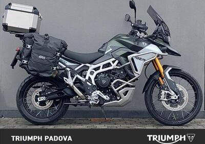 Triumph Tiger 900 Rally Pro (2024 - 25) - Annuncio 9857214