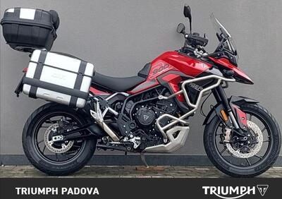 Triumph Tiger 900 GT Pro (2024 - 25) - Annuncio 9858274