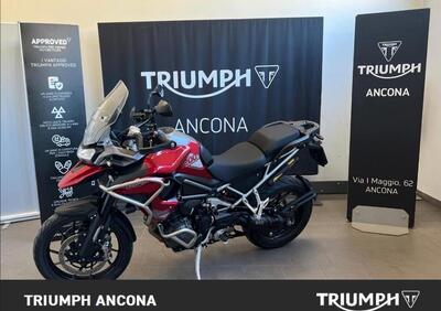 Triumph Tiger 1200 GT Pro (2024 - 25) - Annuncio 9824769
