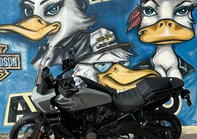 Harley-Davidson Pan America 1250 Special (2020 - 25) - Annuncio 9858429