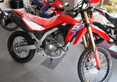 Honda CRF 300 L (2025) - Annuncio 9859108