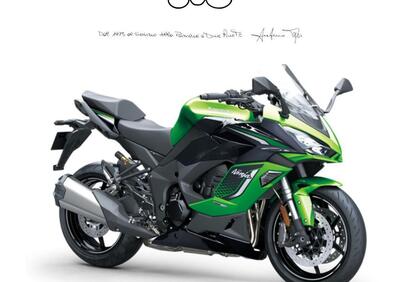 Kawasaki Ninja 1100 SX SE (2025 - 26) - Annuncio 9859214