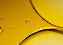 BMW scopre che il Diesel non deve morire: basta dargli da mangiare olio vegetale