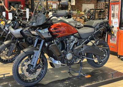 Harley-Davidson Pan America 1250 Special (2020 - 25) - Annuncio 9859771