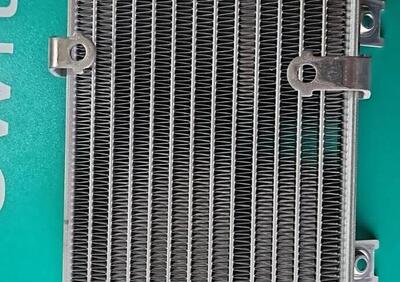 19010MEY671 Radiatore CRF450X Honda - Annuncio 9860353