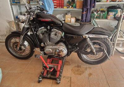 Harley-Davidson 883 (2006 - 07) - XL - Annuncio 9861028