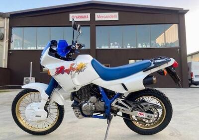 Honda NX 650 Dominator (1991 - 95) - Annuncio 9862626