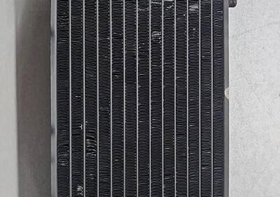 19010ks3900 Radiatore MTX 125 Honda - Annuncio 9862650