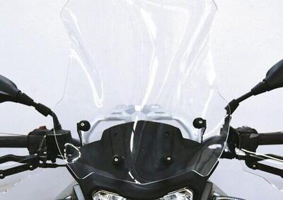 Cupolino Isotta Medio BMW G 310 GS Fumè Chiaro - Annuncio 8984649