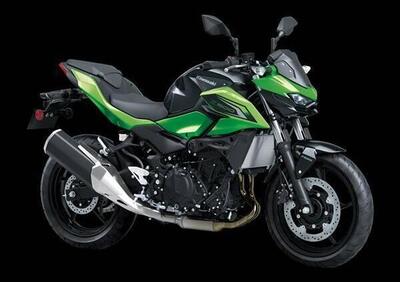 Kawasaki Z 500 (2024 - 26) - Annuncio 9864539