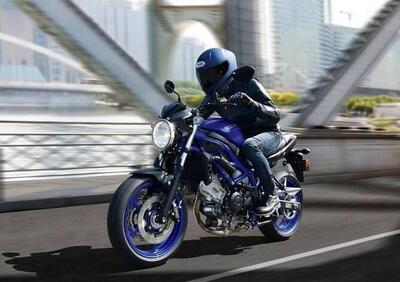 Suzuki SV650 (2025) - Annuncio 9864780