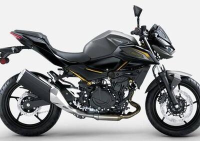 Kawasaki Z 500 (2024 - 26) - Annuncio 9401312