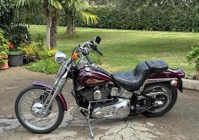 Harley-Davidson 1340 Springer (1990 - 98) - FXSTS - Annuncio 9866510