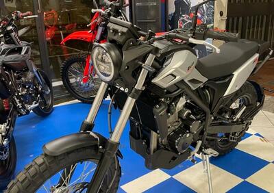 Betamotor Alp X (2024 - 25) - Annuncio 9593552