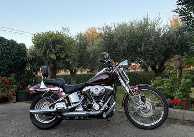 Harley-Davidson 1450 Springer (2001 - 03) - FXSTS - Annuncio 9869531