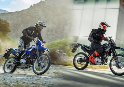 Yamaha TT-R 125 (2024 - 25) - Annuncio 9870937