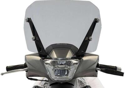 Cupolino Isotta Sport Per Kymco People S 125i-150i - Annuncio 8989782