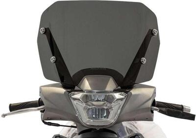 Cupolino Isotta Sport Per Kymco People S 125i-150i - Annuncio 8989783