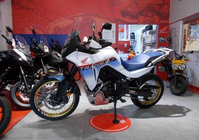 Honda Transalp XL750 (2025) - Annuncio 9873390